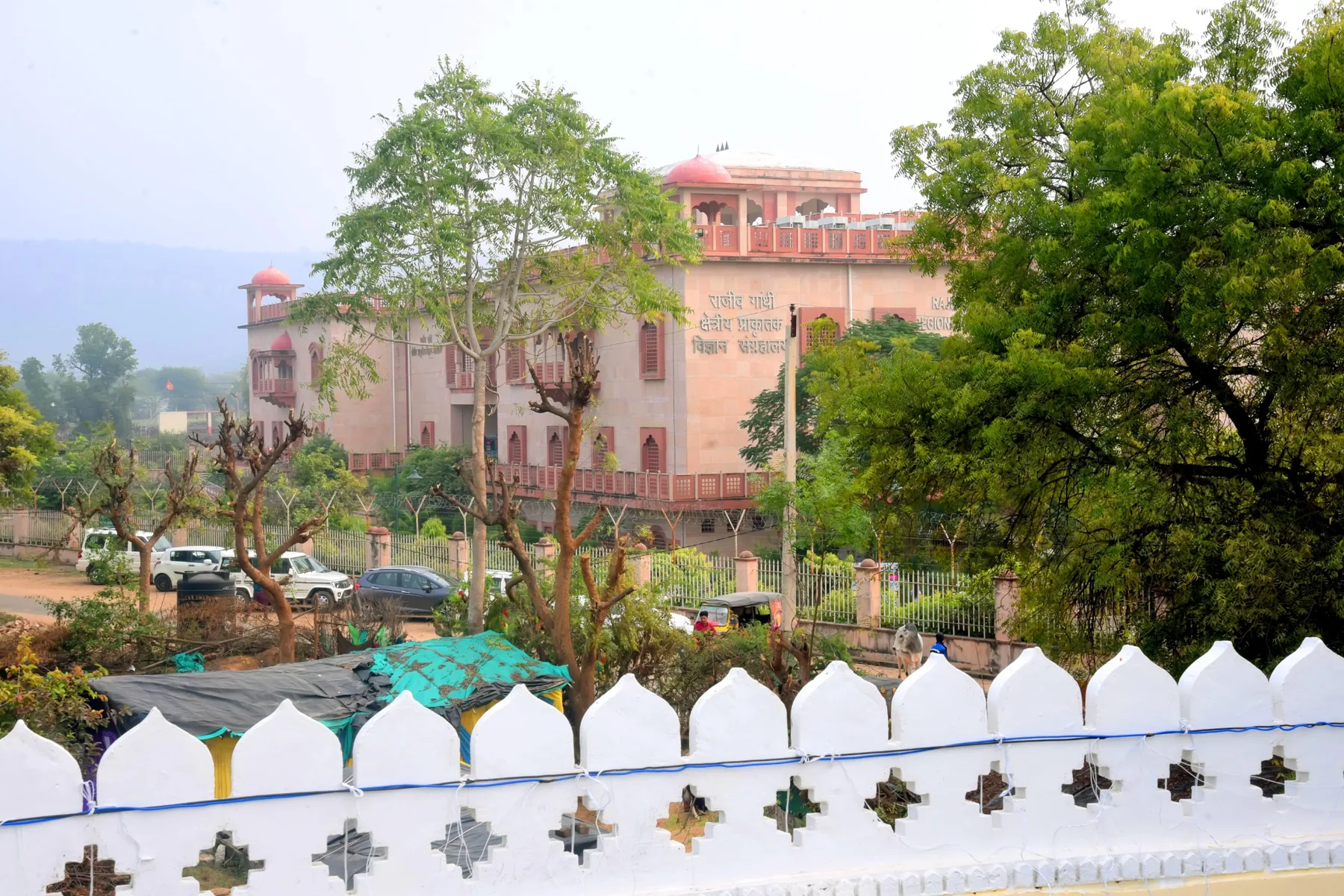 Ranthambore view